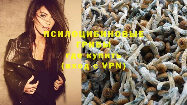 ГАЛЛЮЦИНОГЕННЫЕ ГРИБЫ Навашино