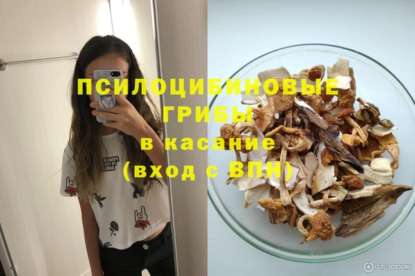 ГАЛЛЮЦИНОГЕННЫЕ ГРИБЫ Навашино