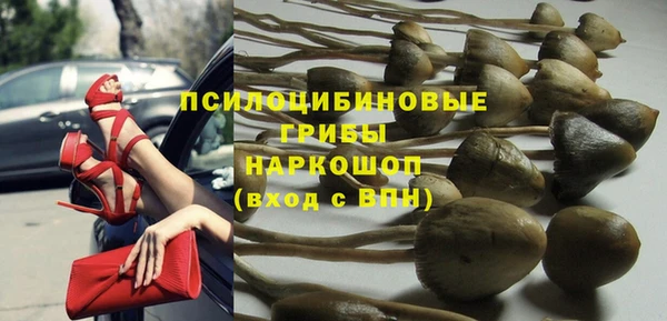ГАЛЛЮЦИНОГЕННЫЕ ГРИБЫ Навашино