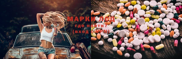 ГАЛЛЮЦИНОГЕННЫЕ ГРИБЫ Навашино