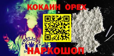 дмт Дубна