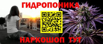 дмт Дубна